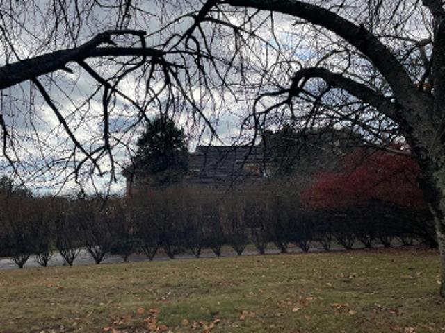 Hillstead Dr