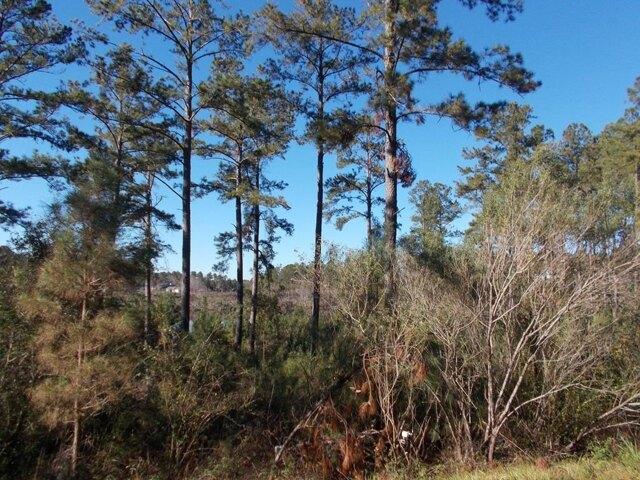 Hillsway Dr, Douglas, Plot For Sale