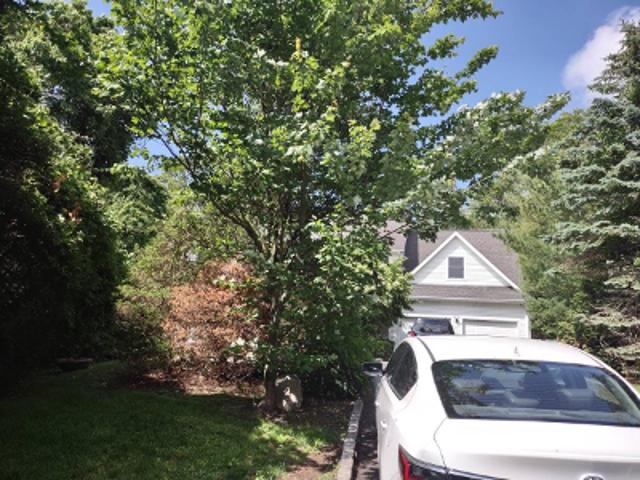 Hillwood Drive