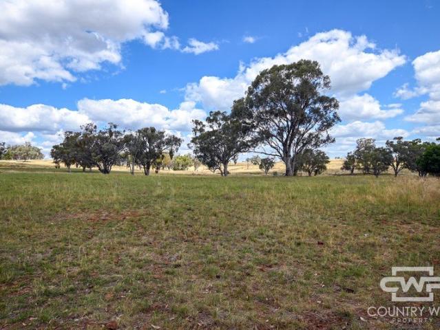 Hillview West A grazing and hunting opportunity