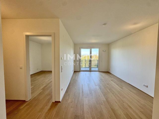 Hirschfeld: Neu und provisionsfrei! 2 Zimmer Schnäppchen mit Balkon