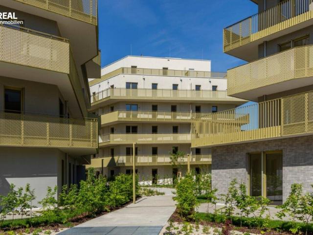 Perfekt für den Sommer Südostbalkon Familienwohnung im schönsten Eck von Floridsdorf provisionsfrei