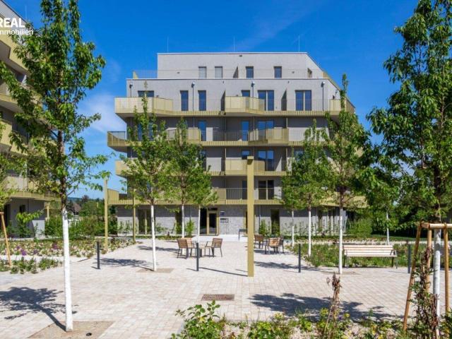 Hirschfeld Ihr neues Zuhause im Grünen anfragen, besichtigen, einziehen 41 bis 96 m²