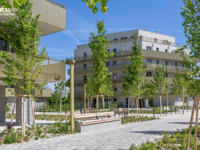 Hirschfeld Ihr neues Zuhause im Grünen anfragen, besichtigen, einziehen 41 bis 96 m²