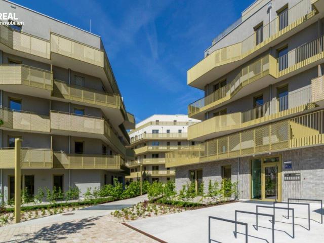 Hirschfeld Ihr neues Zuhause im Grünen anfragen, besichtigen, einziehen 41 bis 96 m²