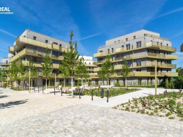 Hirschfeld Ihr neues Zuhause im Grünen anfragen, besichtigen, einziehen 41 bis 96 m²