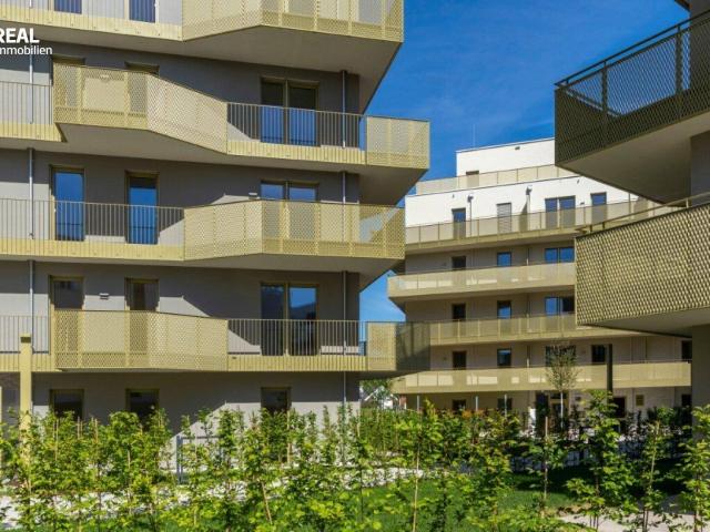 Hirschfeld Ihr neues Zuhause im Grünen anfragen, besichtigen, einziehen 41 bis 96 m²