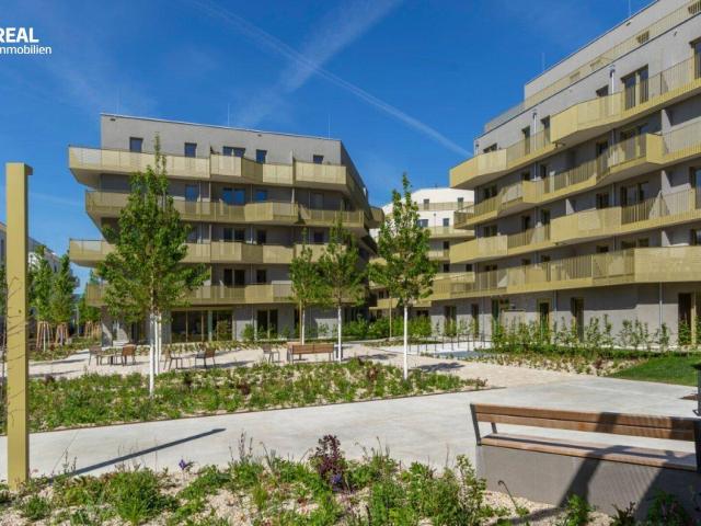 Hirschfeld Ihr neues Zuhause im Grünen anfragen, besichtigen, einziehen 41 bis 96 m²