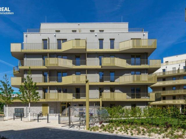 Hirschfeld Ihr neues Zuhause im Grünen anfragen, besichtigen, einziehen 41 bis 96 m²