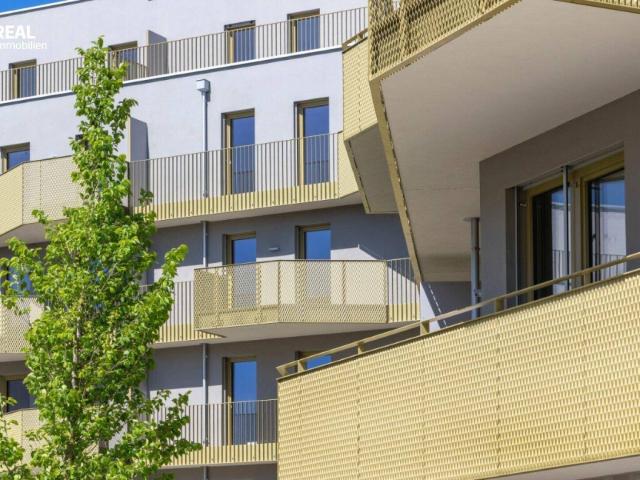 Hirschfeld Ihr neues Zuhause im Grünen anfragen, besichtigen, einziehen 41 bis 96 m²
