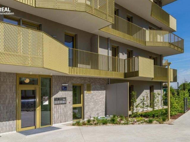 Hirschfeld Ihr neues Zuhause im Grünen anfragen, besichtigen, einziehen 41 bis 96 m²