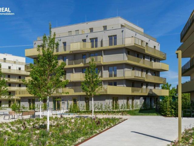 Hirschfeld Ihr neues Zuhause im Grünen anfragen, besichtigen, einziehen 41 bis 96 m²