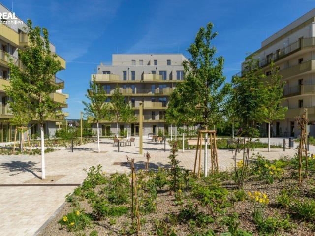 Vergleichen Sie! im 21. wohnen Sie am schönsten hier Ihr neues Zuhause im Grünen anfragen, besichtigen, einziehen 41 bis 96 m²