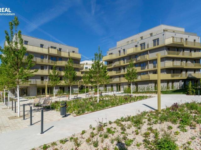 Hirschfeld Ihr neues Zuhause im Grünen anfragen, besichtigen, einziehen 41 bis 96 m²