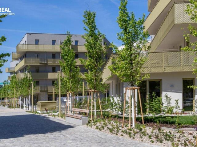 Perfekt für den Sommer 32 m² Südostbalkon im schönsten Eck von Floridsdorf provisionsfrei