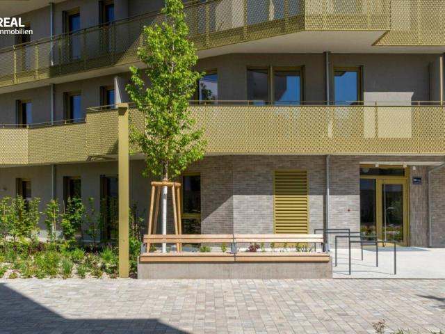 Hirschfeld Ihr neues Zuhause im Grünen anfragen, besichtigen, einziehen 41 bis 96 m²