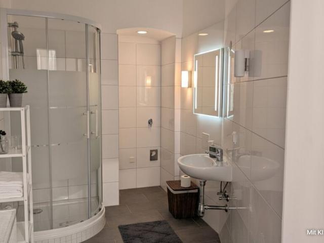 Historic Apartment in the 9th District Newly Renovated!