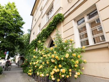 Historic Charm in Maxvorstadt: Spend unforgettable days in our heritage gem