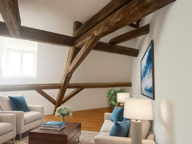 Historic charm meets modern living 21/2 room gallery apartment at Stein AG station