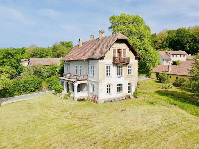 Historische Villa großzügiges Grundstück Familienidylle Grünruhelage Nähe Wien