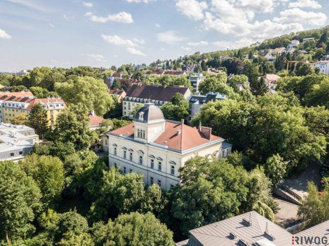 Wahlweise saniert oder als Sanierungsobjekt | Großzügiger Wohn Essbereich mit beeindruckender Raumhöhe von 4,4 m in der Villa Seutter | mit Balkonoption ca. 11,96m²