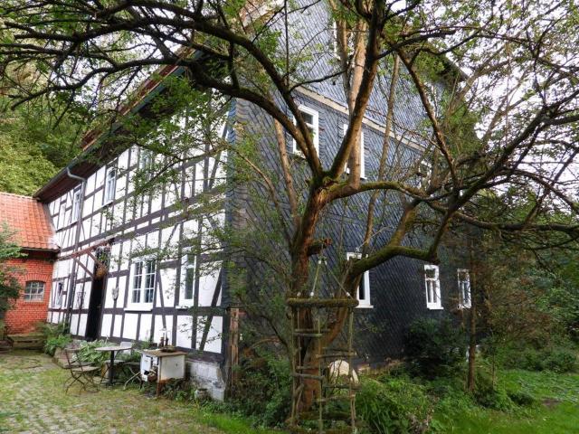 Historischer 3 Seiten Hof in Fast Alleinlage