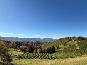 Historischer Besitz in der Südsteiermark mit viel Potential