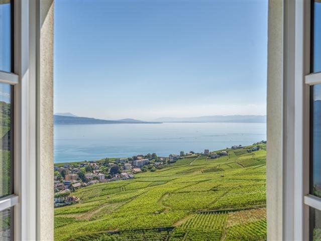 Historischer Komplex, der im Herzen von Lavaux neu erfunden werden soll