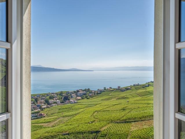 Historischer Komplex, der im Herzen von Lavaux neu erfunden werden soll