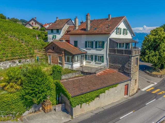 Historischer Komplex, der im Herzen von Lavaux neu erfunden werden soll