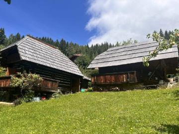 Historischer Kärntner Troadkasten mit Keuschn in idyllischer Lage