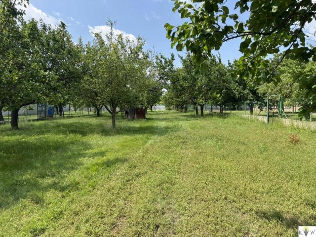 Historisches Anwesen mit 2.985m² großem Grundstück in Kittsee – ideal auch für Bauträger