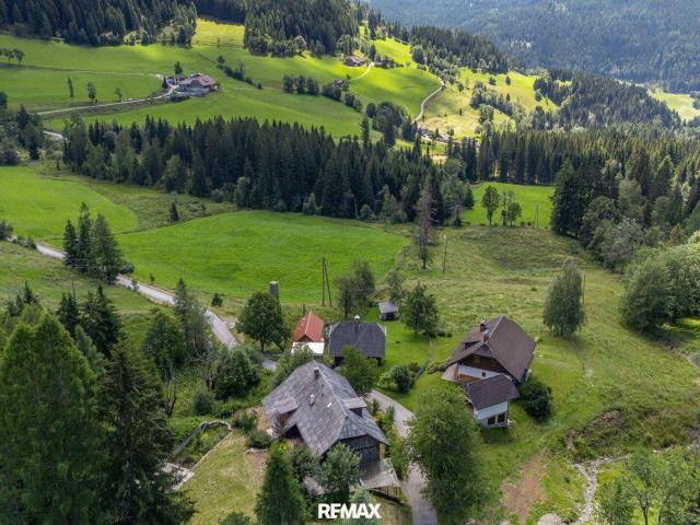 Historisches Almhaus mit unvergleichlichem Bergpanorama