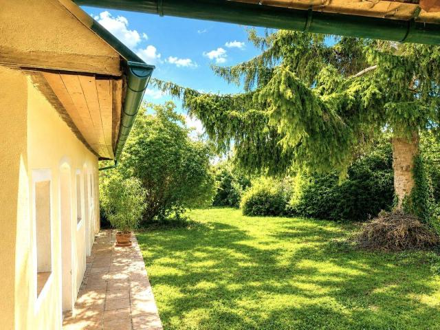 Historisches Bauernhaus im Herzen von Maissau – Ein verstecktes Gartenparadies mit unverwechselbarem Charakter