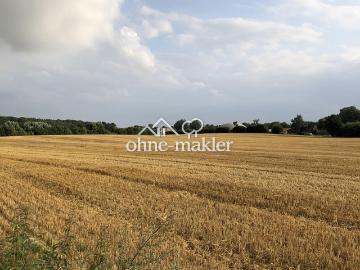 Wentorf, Herzogtum Lauenburg, Elbe-Weser-Dreieck, Schleswig-Holstein