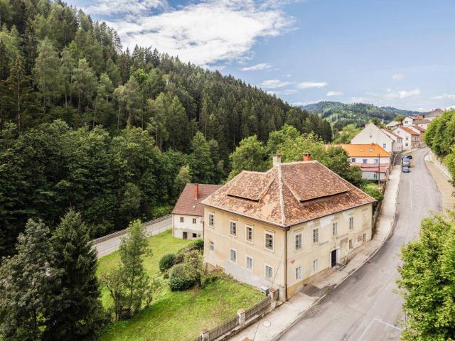 Historisches Geschäftshaus und ehemalige Gerberei am Landtorberg