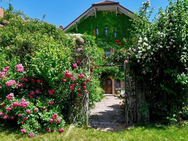 Historisches Haus 600 m² zum Wohnen, Gästen und Investieren
