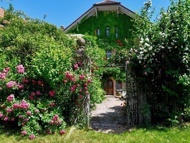 Historisches Haus: 600 m² zum Wohnen, Gästen und Investieren