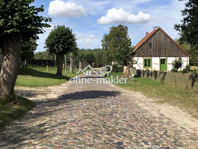 Historisches Landhaus in Mecklenburg Vorpommern ruhig gelegen, stündlich per Bahn erreichbar