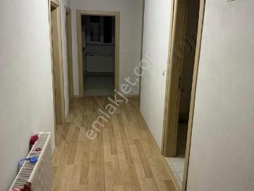 Ahmetbey, Terme, Terme, Samsun ili, Karadeniz Bölgesi