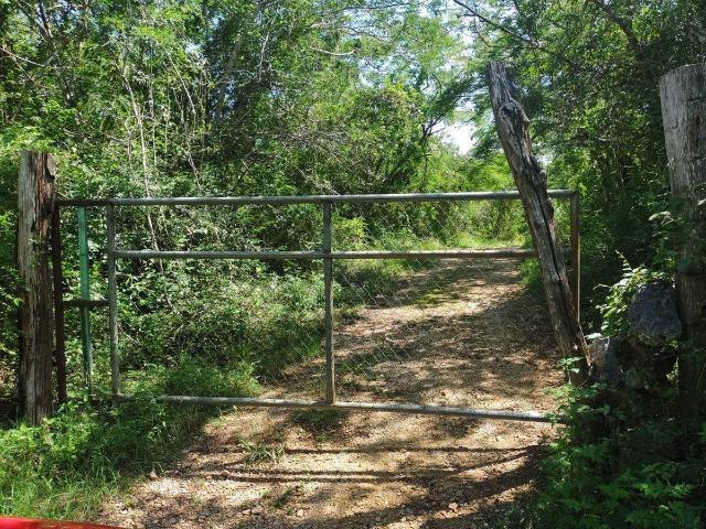 HOMUN, YUC. ZONA DE CENOTES. 16.3 HAS. PROPIEDAD PRIVADA