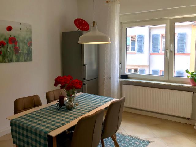 Homy business apartment near BASF with free parking