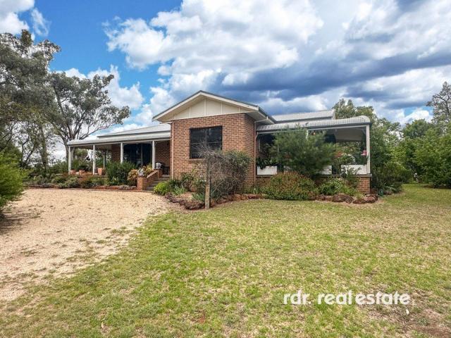 HOME AMONG THE GUM TREES