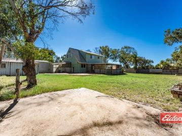 Home Among the Gum Trees