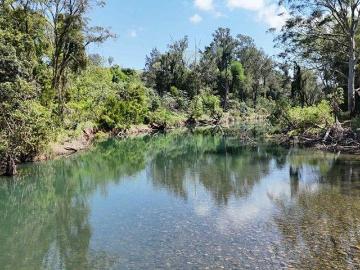 HOME AMONG THE GUM TREES