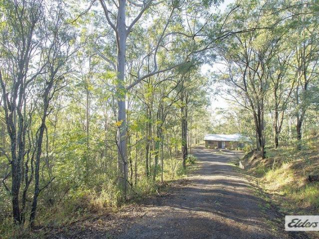Home Amongst the Gum Trees
