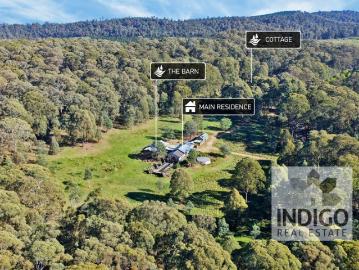 Home Amongst the Gum Trees