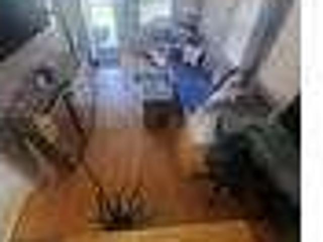 Home For Rent In Norridge, Illinois