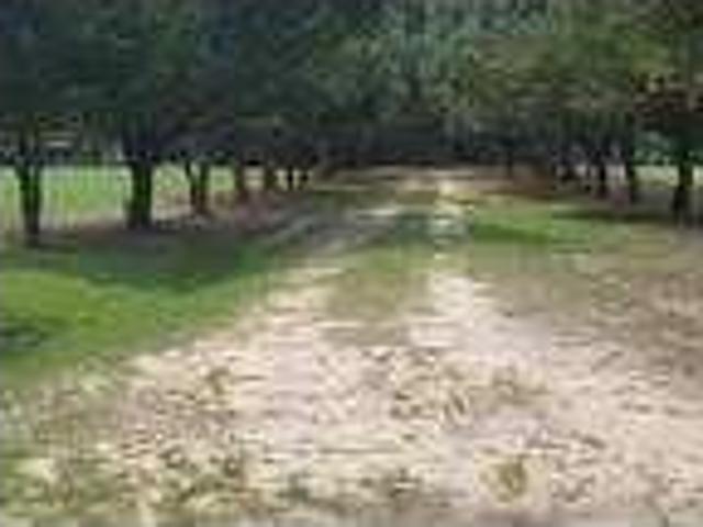 Home For Rent In Dunn, North Carolina
