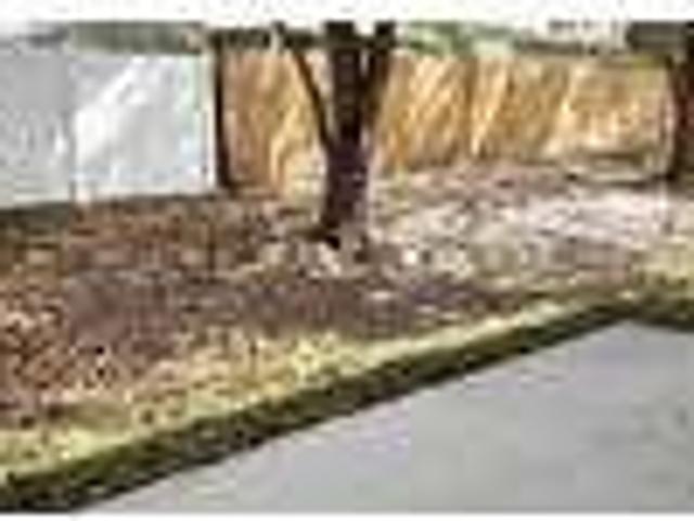 Home For Rent In Groveland, Florida